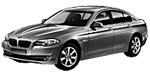 BMW F10 C20D5 Fault Code